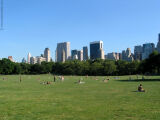 Central Park - sheep meadow